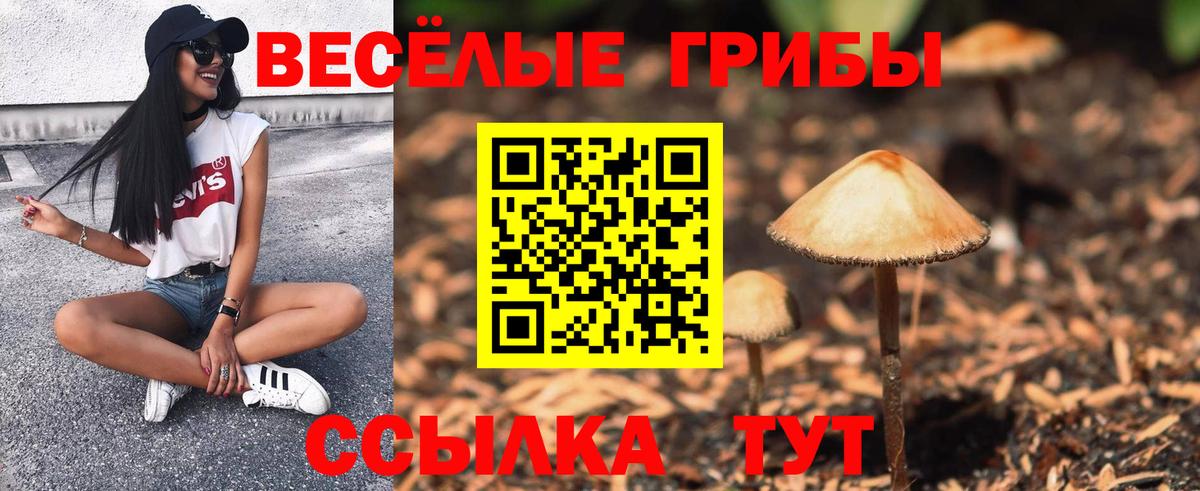 Галлюциногенные грибы Psilocybine cubensis  Псилоцибиновые грибы MAGIC MUSHROOMS  Кирово-Чепецк  дарнет шоп  Вход с VPN 